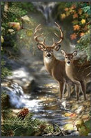 Photo Frame MDF Urn - Maple