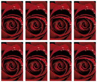 Regal Rose Prayer Cards - ST7505-MIC-PC