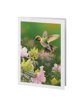 Premium Series Hummingbird Acknowledgement Card- STPR104-AK