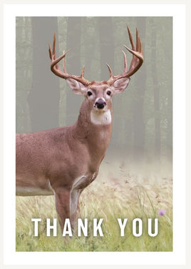 Premium Series Deer in the Forest  Acknowledgement Card- STPR108-AK