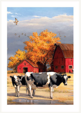 Premium Series Dairy Cow Acknowledgement Card- STPR109-AK