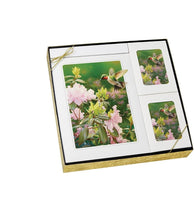 Theme Hummingbird - Stationery Box Set - STTM110-BX