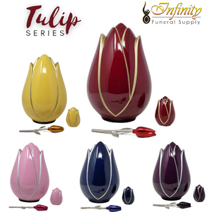Tulip Series