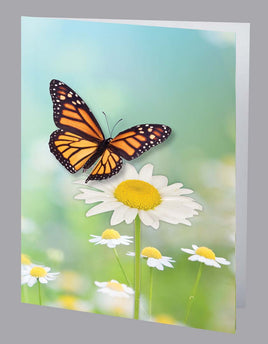 Butterfly in Flight  Service Record - ST8551-SR