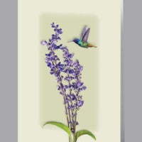 Hummingbird Acknowledgment - 8600-ACK