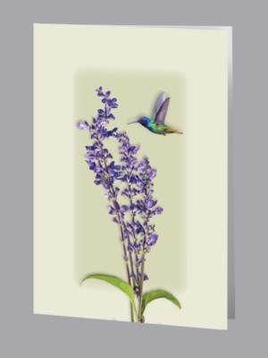 Hummingbird Acknowledgment - 8600-ACK