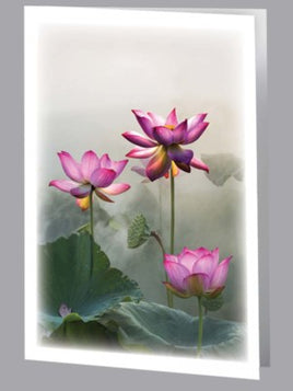 Lotus in the Mist Acknowledgment - ST8602-AK