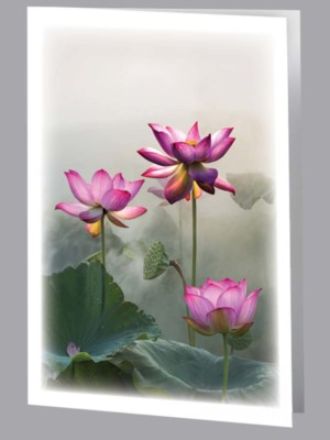 Lotus in the Mist Acknowledgment - 8602-ACK