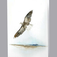 Eagle Soaring Design (Urn and Stationery)