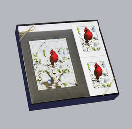 Cardinal - Stationery Box Set - ST8542-BX