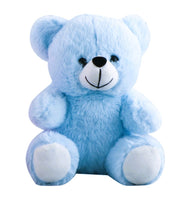 Soft Teddy Bear for Keepsake Cremation Urn - Blue