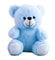 Soft Teddy Bear Keepsake Cremation Urn - Blue