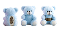 Soft Teddy Bear for Keepsake Cremation Urn - Blue
