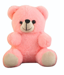 Soft Teddy Bear for Keepsake Cremation Urn - Pink