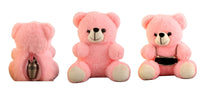Soft Teddy Bear for Keepsake Cremation Urn - Pink