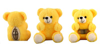 Soft Teddy Bear for Keepsake Cremation Urn - Yellow