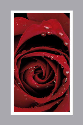 Regal Rose Prayer Cards - ST7505-MIC-PC