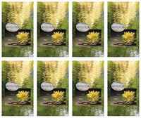 Serenity Prayer Cards - ST8500-MIC-PC
