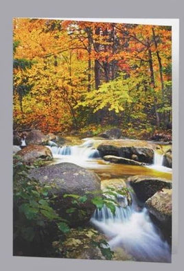 Autumn Stream Acknowledgment - ST8506-AK