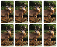 Forest Retreat Prayer Cards - ST8514-MIC-PC