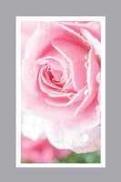 Cherished Rose Prayer Cards - ST8534-MIC-PC