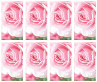 Cherished Rose Prayer Cards - ST8534-MIC-PC