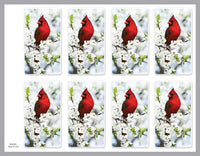 Cardinal Prayer Cards - ST8542-MIC-PC