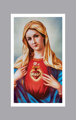 Mary Prayer Cards - ST8548-MIC-PC