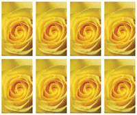 Yellow Rose Prayer Cards - ST8550-MIC-PC