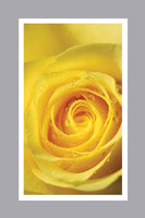 Yellow Rose Prayer Cards - ST8550-MIC-PC