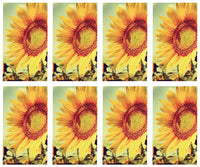 Sunflower Prayer Cards - ST8568-MIC-PC