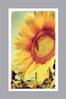 Sunflower Prayer Cards - ST8568-MIC-PC
