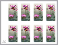 Lotus in the Mist Prayer Cards - ST8602-MIC-PC