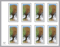 Season's Prayer Cards - ST8604-MIC-PC
