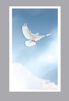 Going Home Prayer Cards - ST8790-MIC-PC