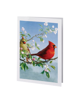 Premium Series Cardinal Acknowledgement Card- STPR105-AK