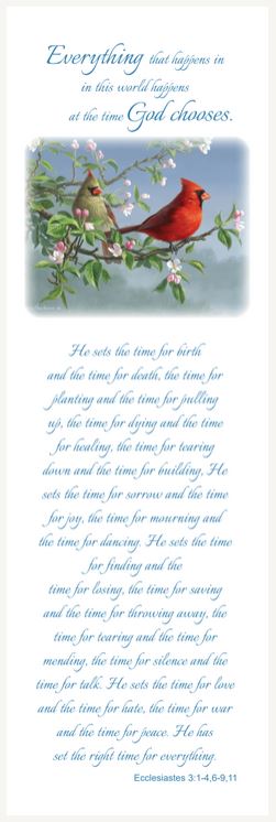 Premium Line Cardinal Series Bookmark STPR105-BM