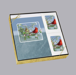 Premium Line Series Cardinal Stationery Box Set - STPR105-BX