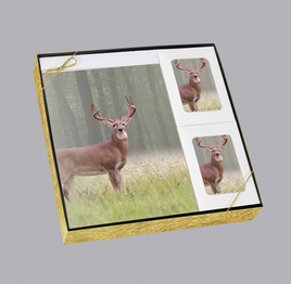 Premium Line Series Deer Stationery Box Set - STPR108-BX