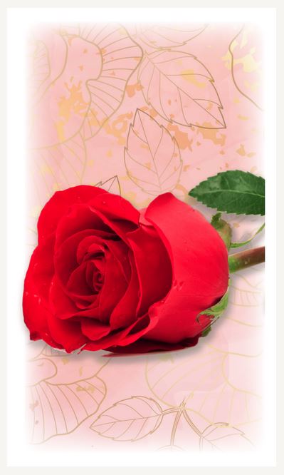 Premium Line Series Red Rose Prayer Card - STPR110-PC| Infinityurns