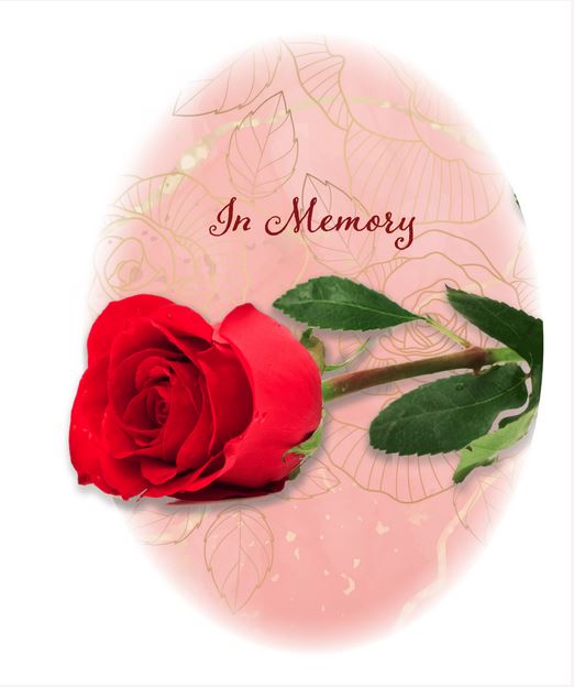 Premium Line Series Red Rose Service Record - STPR110-SR| Infinityurns