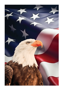 Premium Series American Pride Acknowledgement Card- STPR117-AK