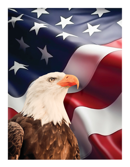 Premium Line Series American Pride Service Record - STPR117-SR