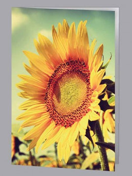 Sunflower Acknowledgment - ST8568-AK