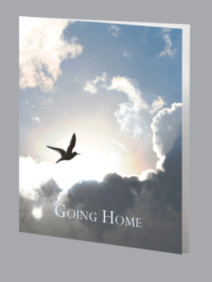 Going Home Service Record - ST8545-SR