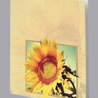 Sunflower Service Record - 8568-SR