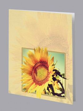 Sunflower Service Record - ST8568-SR