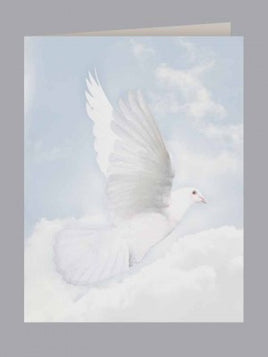 Wings of Hope Service Record - ST367-SR