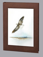 Eagle Soaring Design (Urn and Stationery)