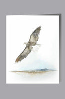 Eagle Soaring Design (Urn and Stationery)